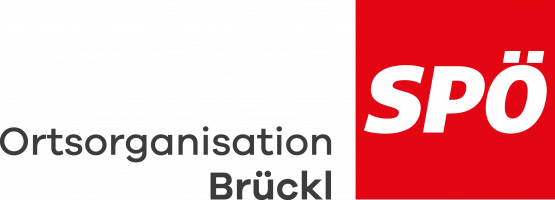LogoBrückl_transparent_grau